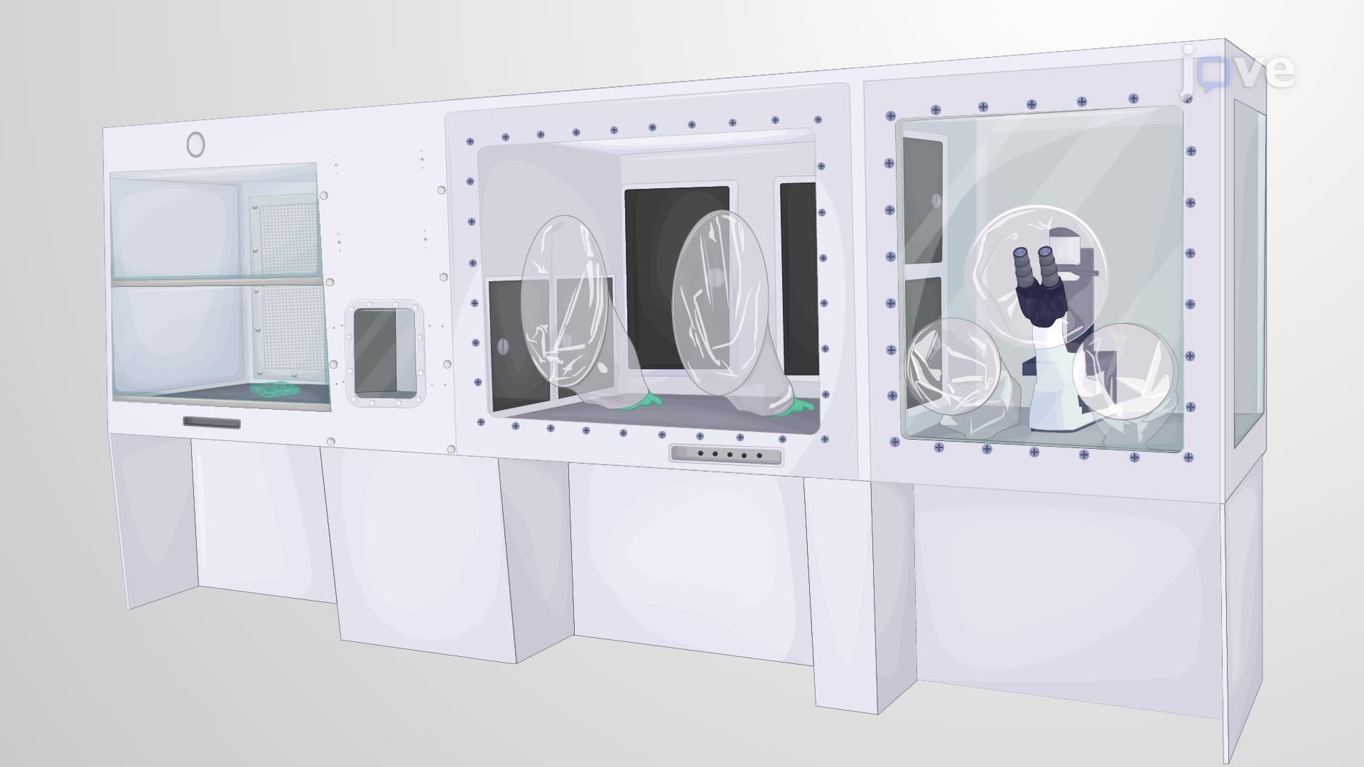 Handling Neuronal Stem Cell Cultures in a Cell Production Facility