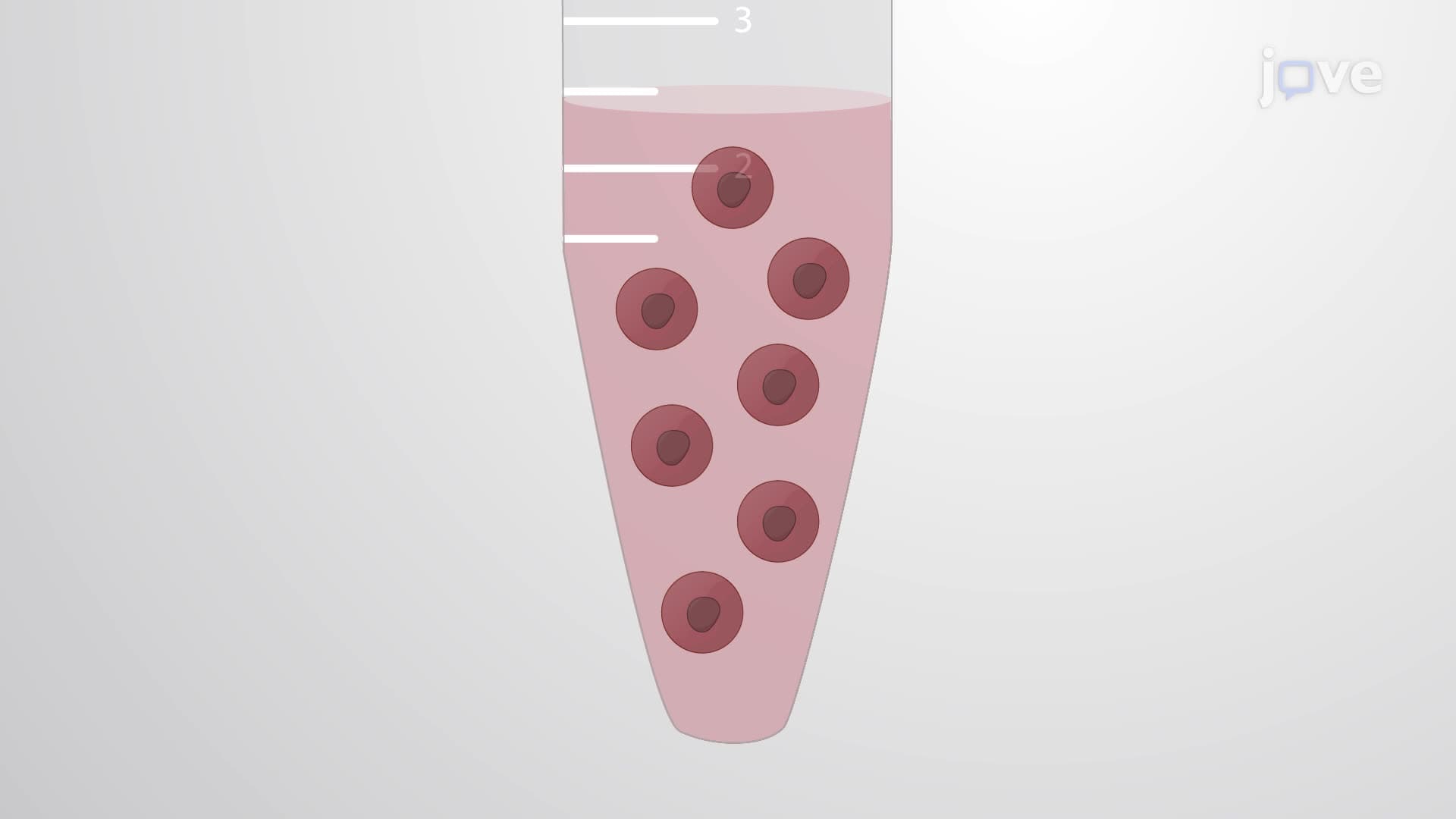 Isolating Adipose-Derived Stem Cells from Murine Periaortic Adipose Tissue