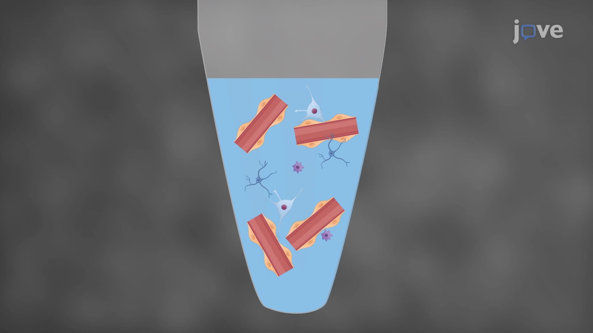 A Method for the Isolation of Neurovascular Units from Rat Brain