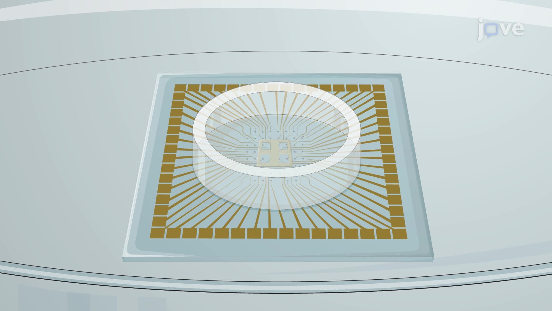 Constructing Patterned Neuronal Circuits on a Multi-Electrode Array