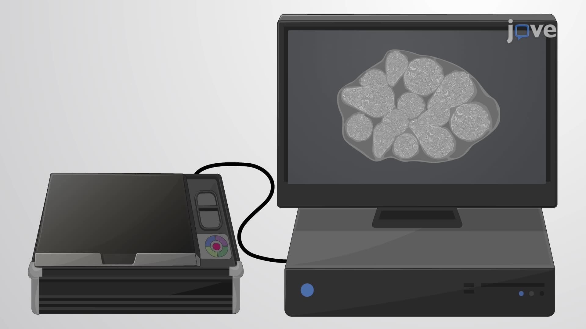 Tissue Immunostaining for Imaging Mass Cytometry