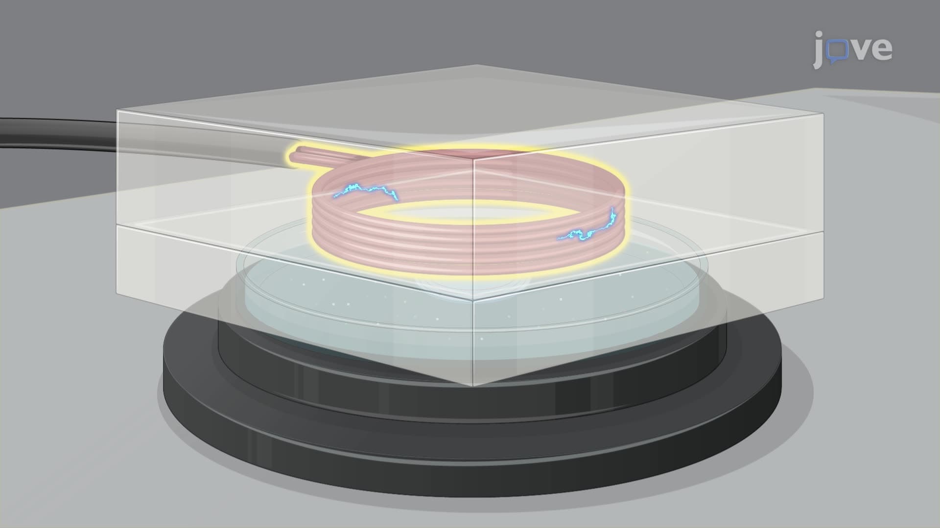 Stimulation of Patterned Neuronal Cultures by a Magnetic Field