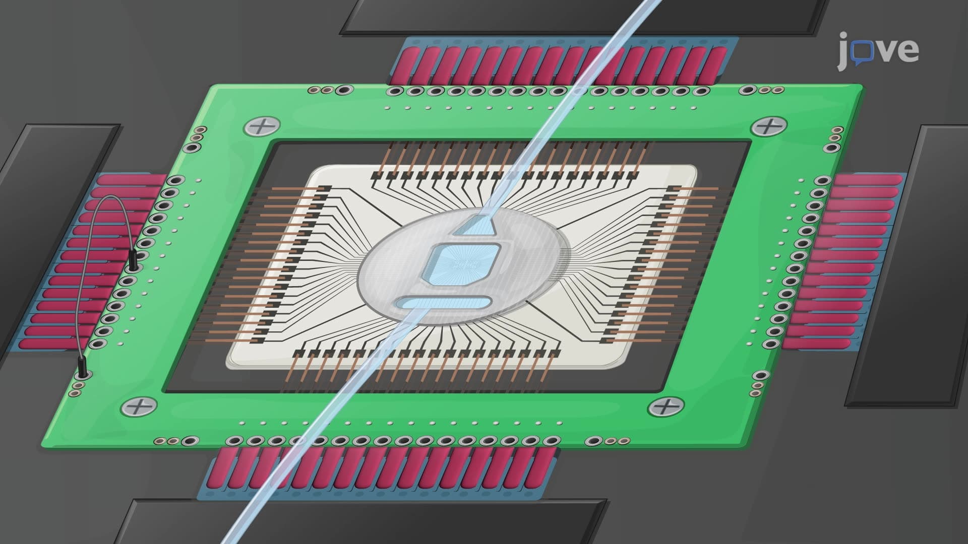 Monitoring Seizure-Induced Neural Electrical Activity in Brain Slices Using Microelectrode Arrays