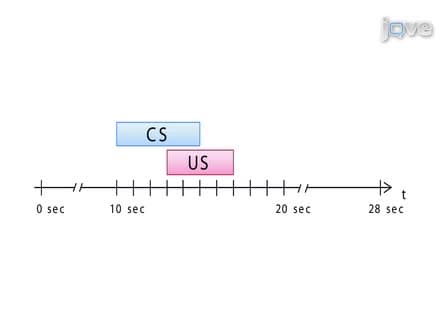 Behavioural Pharmacology in Classical Conditioning of the Proboscis Extension Response in Honeybees Apis mellifera