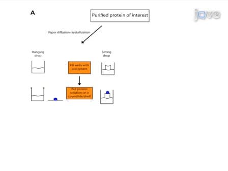 Protein Crystallization for X-ray Crystallography