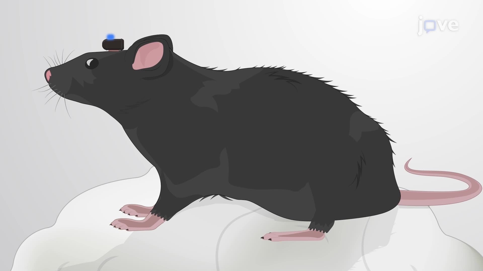 Triggering a Closed-Loop Stimulation by Neuron Spiking Activity