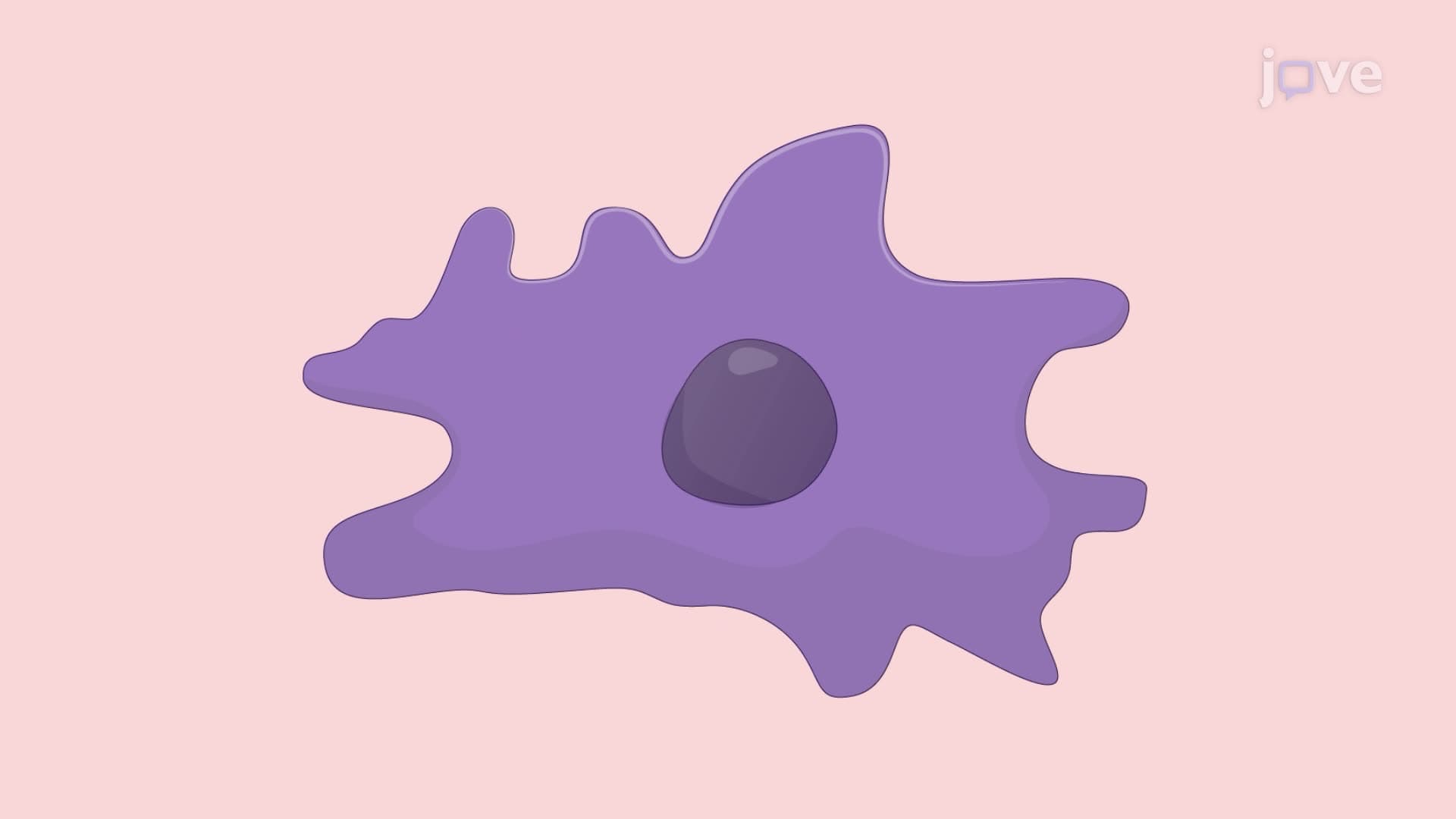 Determining Nanoparticle-Induced Toxicity in Neurons Using Microglia as a Surrogate Biosensor