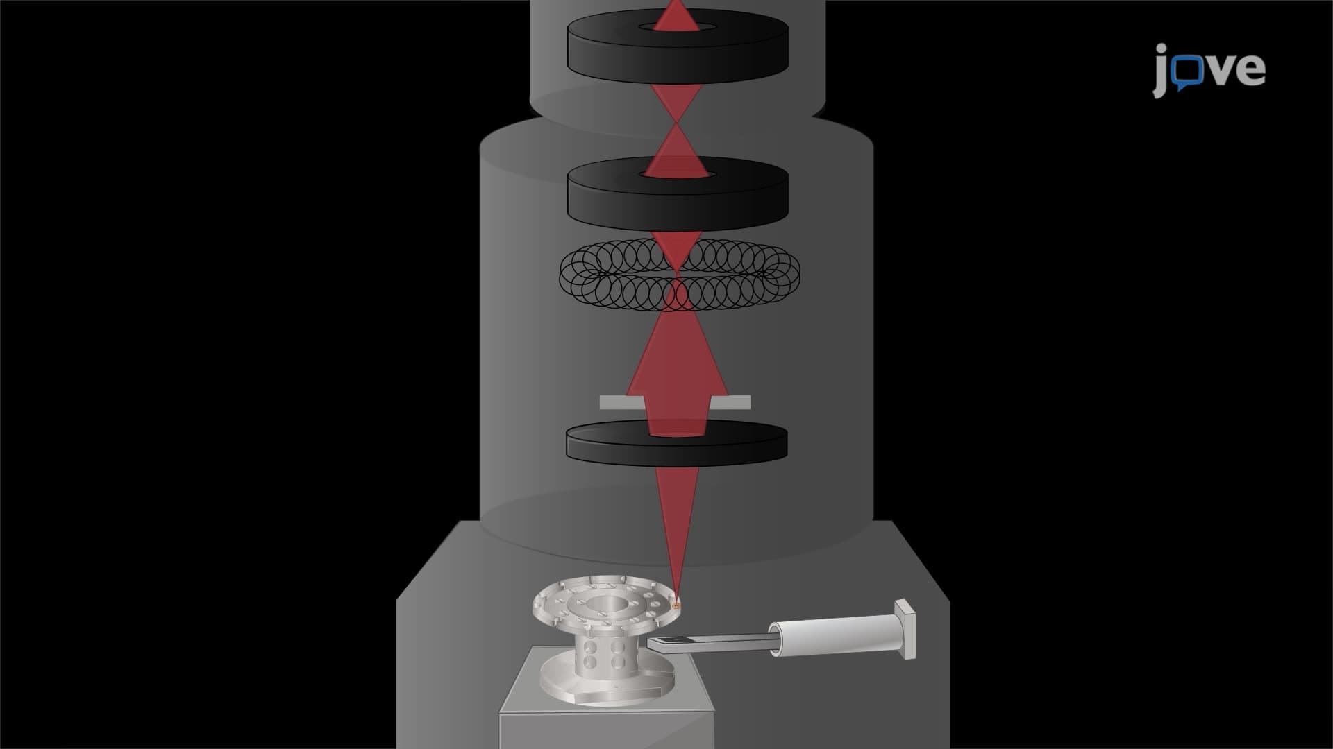 Investigating a Zebrafish Larval Brain Injury Using Large-Scale Scanning Transmission Electron Microscopy