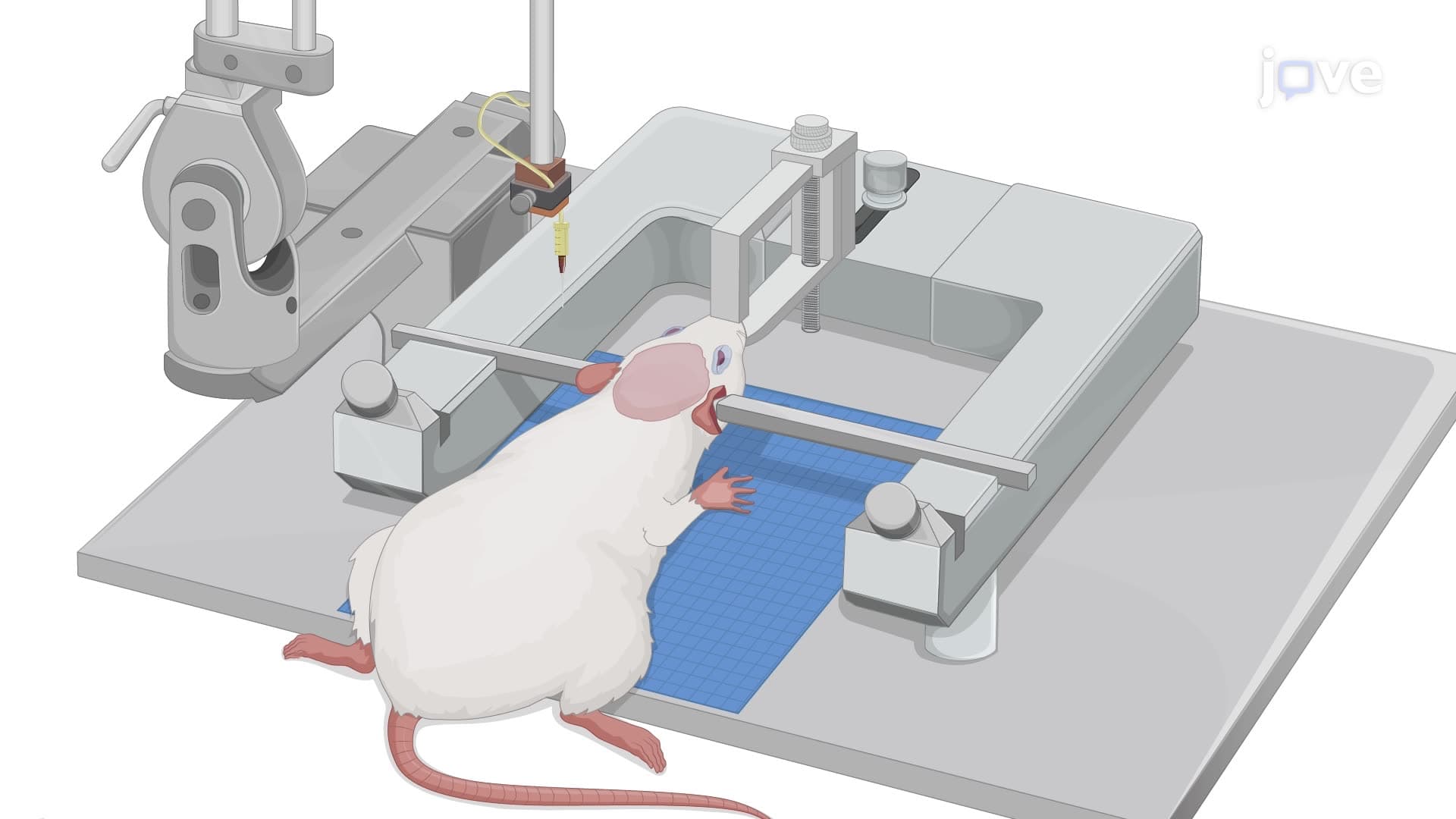 Generating the 6-hydroxydopamine Rat Model of Parkinson's Disease