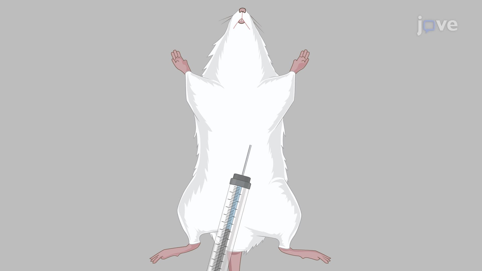 Establishing a Mouse Model of Small Fiber Neuropathy Using Resiniferatoxin