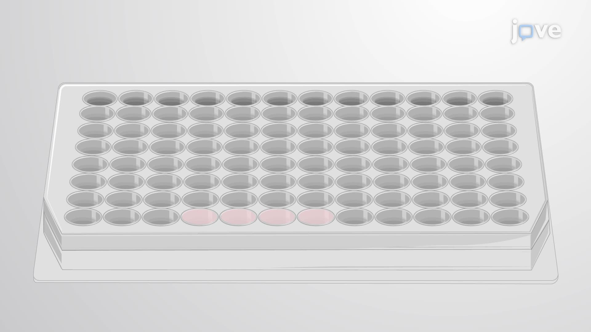 Measuring Odorant Receptor Activation using a Real-Time Cyclic Adenosine Monophosphate Assay