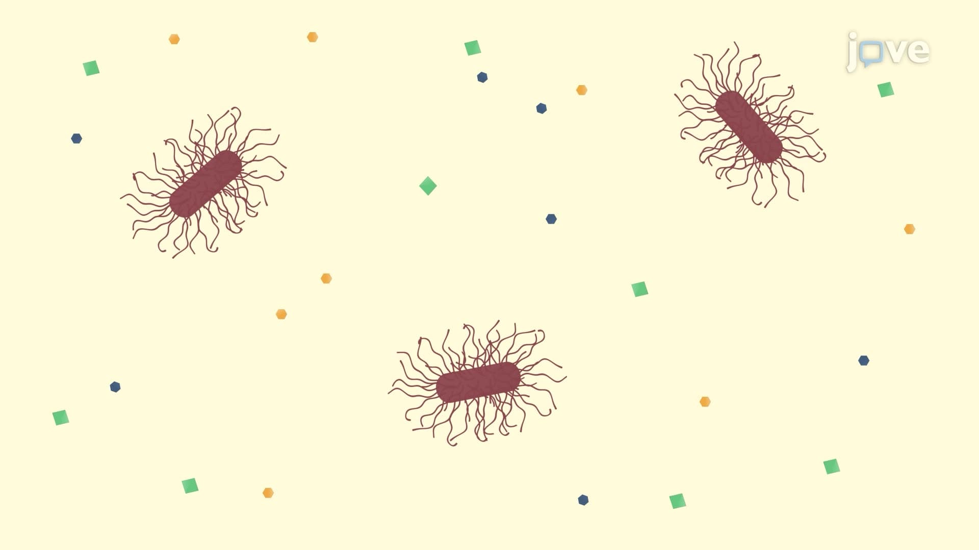 Assessing Bacterial Colonization in a Mouse Brain following Listeria monocytogenes Infection