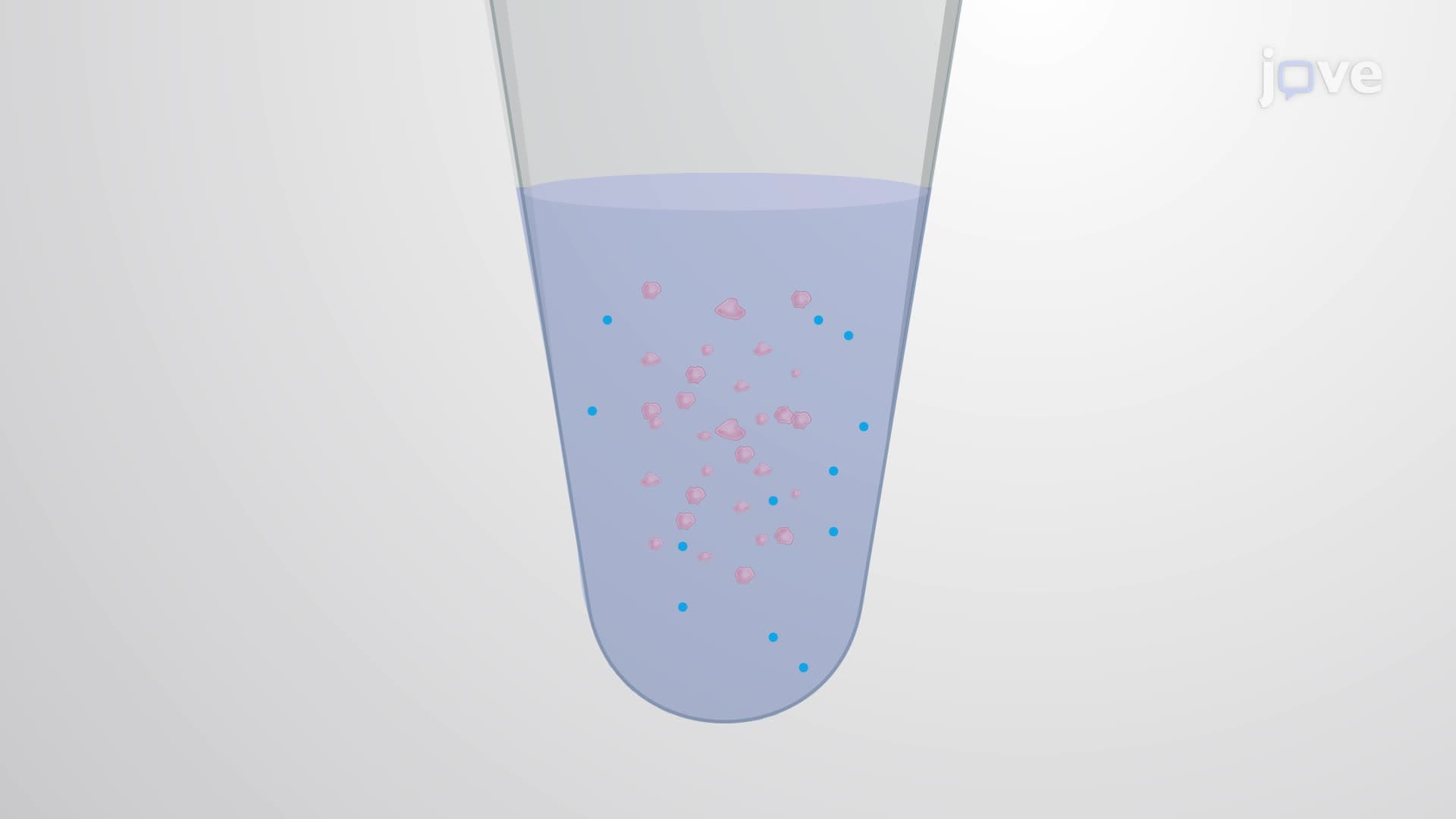 Crosslinking Neuronal Surface Proteins in the Mouse Brain using a Chemical Crosslinking Assay