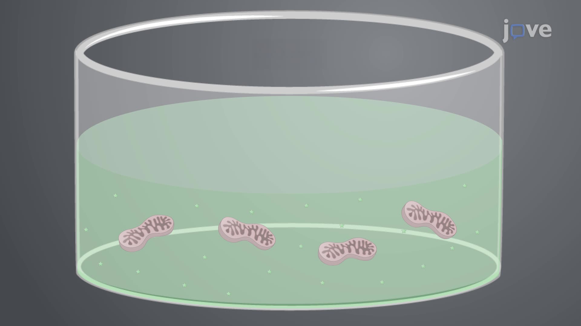 Determination of the Calcium Retention Capacity of Isolated Mitochondria