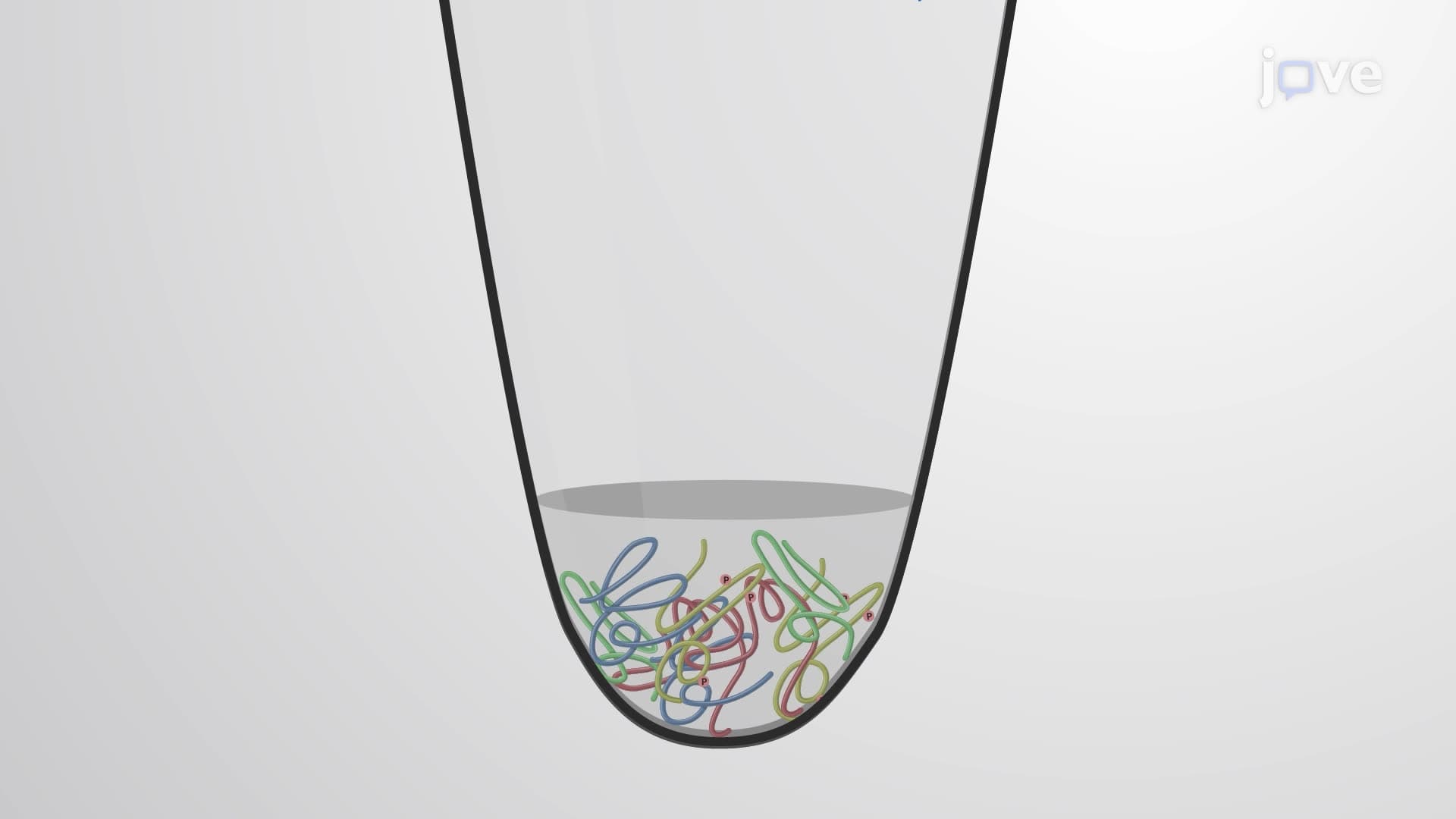 Detection of Phosphorylated Alpha-Synuclein Using Western Blotting
