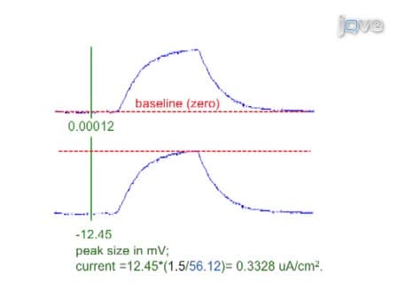 Measurement of Bioelectric Current with a Vibrating Probe