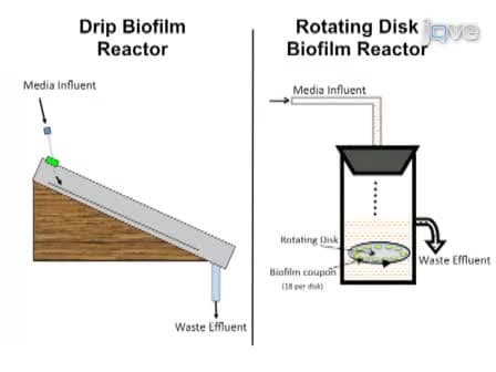 The Use of Drip Flow and Rotating Disk Reactors for Staphylococcus aureus Biofilm Analysis