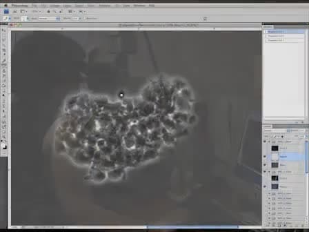 Localizing Protein in 3D Neural Stem Cell Culture: a Hybrid Visualization Methodology