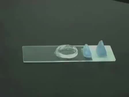 Loading Drosophila Nerve Terminals with Calcium Indicators