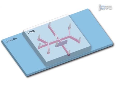 A Microfluidic-based Hydrodynamic Trap for Single Particles