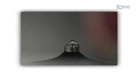 NanoDrop Microvolume Quantitation of Nucleic Acids