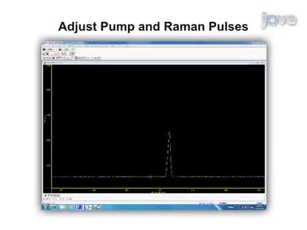 Rejection of Fluorescence Background in Resonance and Spontaneous Raman Microspectroscopy