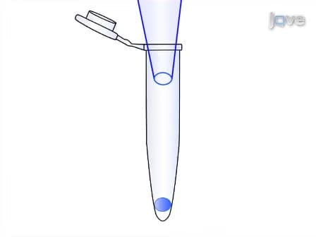 Transcriptome Analysis of Single Cells