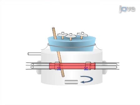 Engineering Biological-Based Vascular Grafts Using a Pulsatile Bioreactor