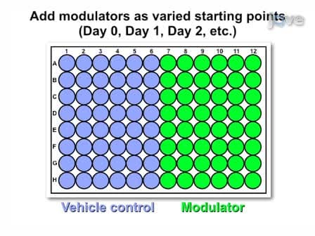 Modified Mouse Embryonic Stem Cell based Assay for Quantifying Cardiogenic Induction Efficiency
