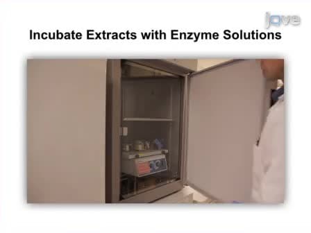 High-Throughput Measurement and Classification of Organic P in Environmental Samples