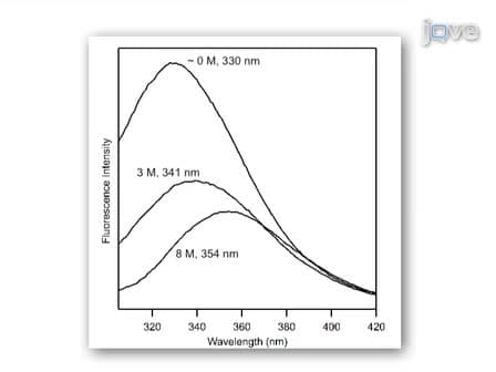 Thermodynamics of Membrane Protein Folding Measured by Fluorescence Spectroscopy