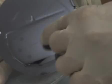A Gradient-generating Microfluidic Device for Cell Biology