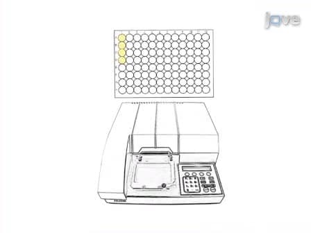 Insulin Injection and Hemolymph Extraction to Measure Insulin Sensitivity in Adult <em>Drosophila melanogaster</em>