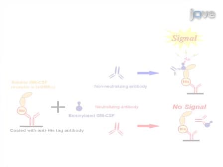 A Cell Free Assay System Estimating the Neutralizing Capacity of GM-CSF Antibody using Recombinant Soluble GM-CSF Receptor