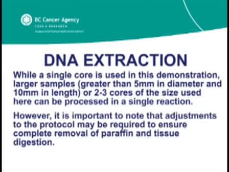 DNA Extraction from Paraffin Embedded Material for Genetic and Epigenetic Analyses