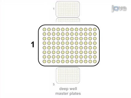 High Throughput Screening of Fungal Endoglucanase Activity in <em>Escherichia coli</em>