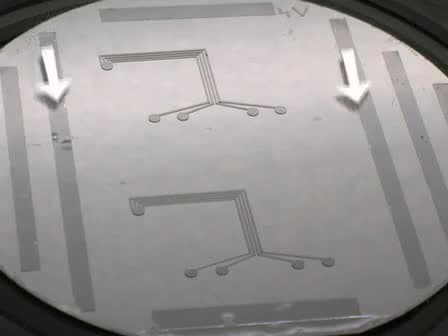 Applying Microfluidics to Electrophysiology