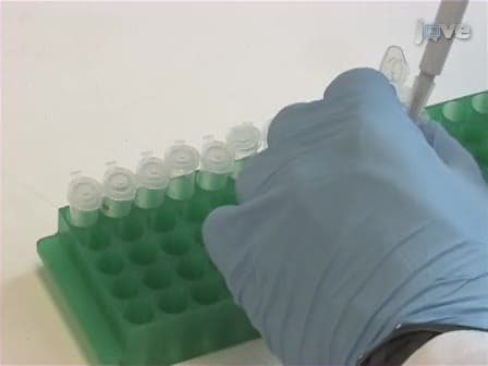 Preparation of Quality Inositol Pyrophosphates