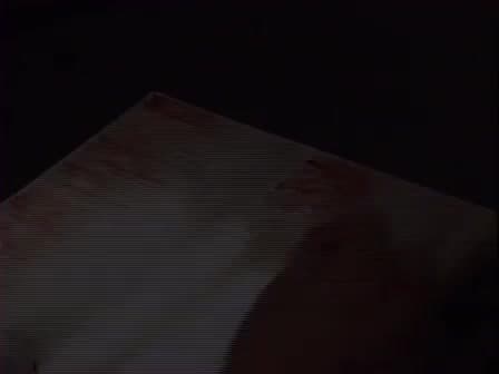 Rat Mesentery Angiogenesis Assay