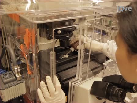 Use of an Optical Trap for Study of Host-Pathogen Interactions for Dynamic Live Cell Imaging