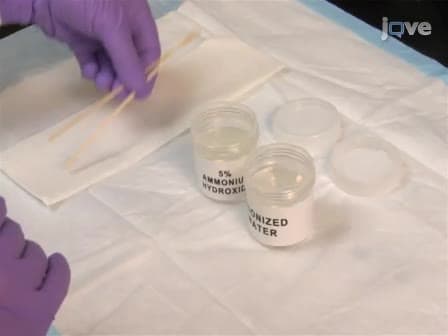 Specimen Preparation, Imaging, and Analysis Protocols for Knife-edge Scanning Microscopy