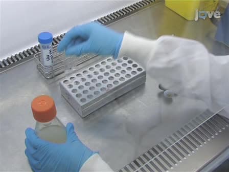 A Functional Whole Blood Assay to Measure Viability of Mycobacteria, using Reporter-Gene Tagged BCG or M.Tb BCG lux/M.Tb lux