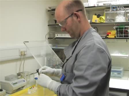 Assaying the Kinase Activity of LRRK2 <em>in vitro</em>