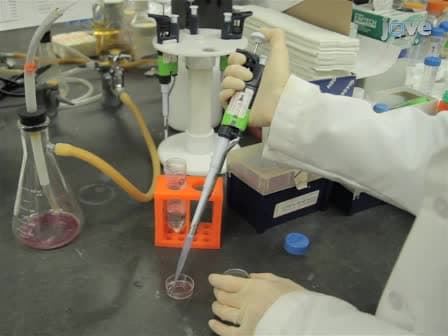 Measuring Fast Calcium Fluxes in Cardiomyocytes
