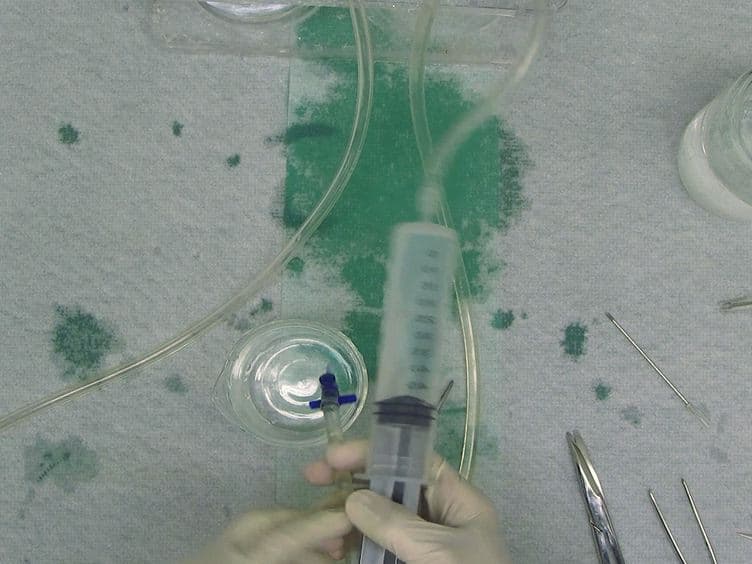 Whole Animal Perfusion Fixation for Rodents