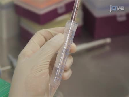 A 3D System for Culturing Human Articular Chondrocytes in Synovial Fluid