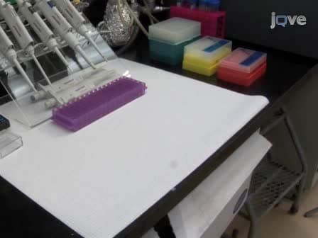 In vitro Assembly of Semi-artificial Molecular Machine and its Use for Detection of DNA Damage