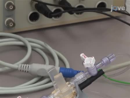 Measuring Left Ventricular Pressure in Late Embryonic and Neonatal Mice