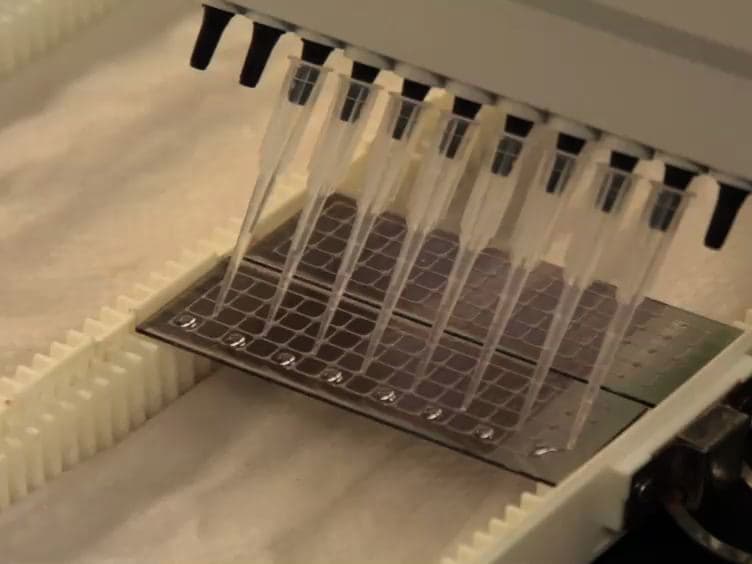 Chemically-blocked Antibody Microarray for Multiplexed High-throughput Profiling of Specific Protein Glycosylation in Complex Samples