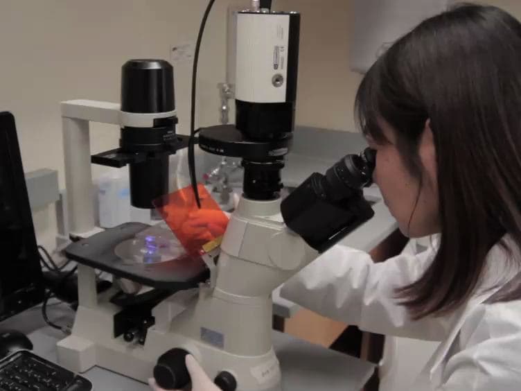Reprogramming Human Somatic Cells into Induced Pluripotent Stem Cells iPSCs Using Retroviral Vector with GFP